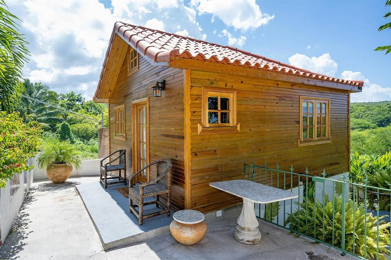 Private Tiny House W/ Pool Apartment Montego Bay