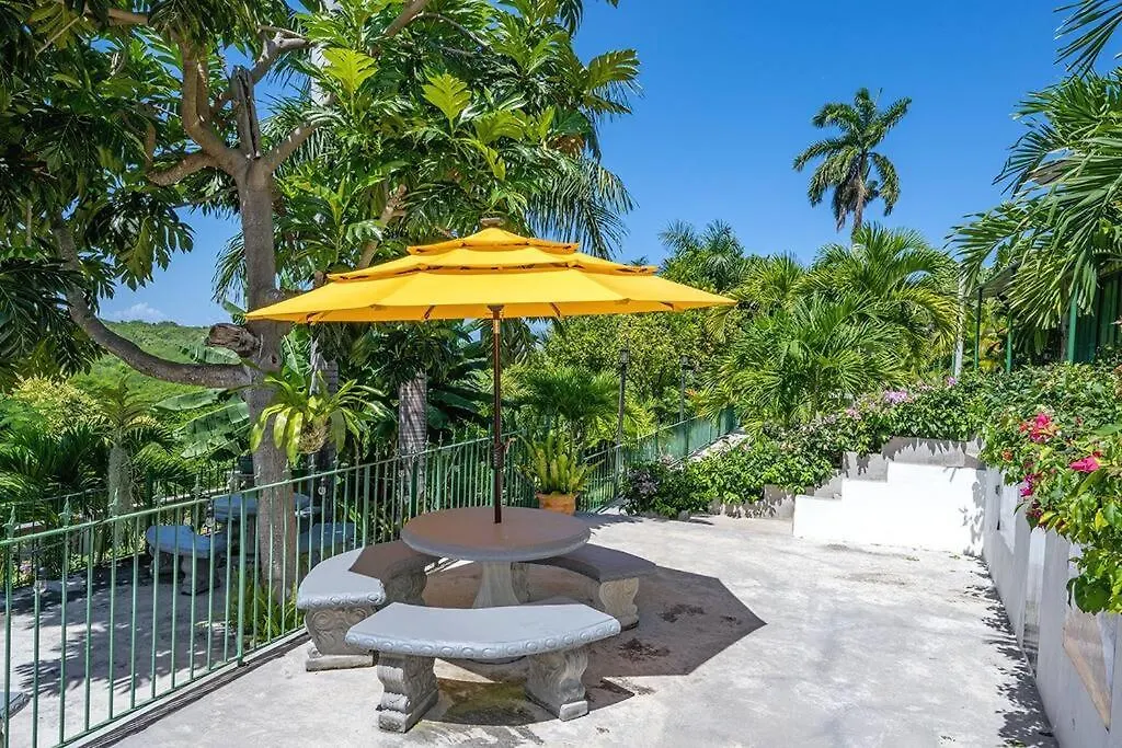 Private Tiny House W/ Pool Apartment Montego Bay Homestay