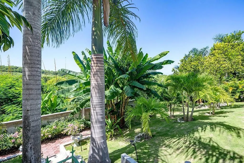Private Tiny House W/ Pool Apartment Montego Bay Homestay