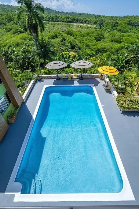 Homestay Private Tiny House W/ Pool Apartment Montego Bay